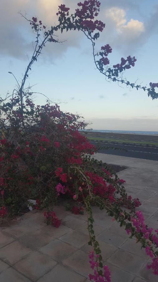 Esquinzo Residenzial Daire Playa Jandia Dış mekan fotoğraf